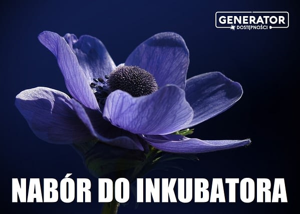 Grafika z rozkwitającym niebieskim kwiatem, napisem "nabór do inkubatora" i logotypem Generatora Dostępności