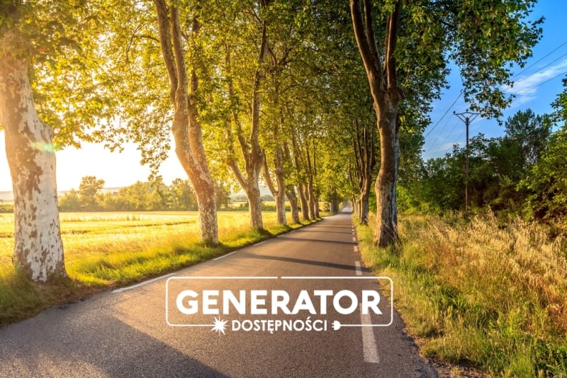 Zdjęcie przedstawia drogę z aleją drzew oraz logotyp Generatora Dostępności